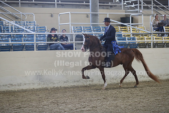 RCAHA19_FriPM_1499