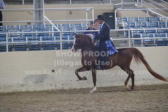 RCAHA19_FriPM_1501