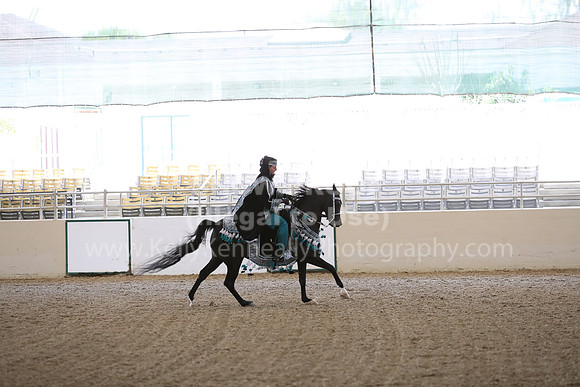 RCAHA19_FriPM_1347