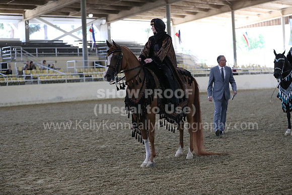 RCAHA19_FriPM_1362