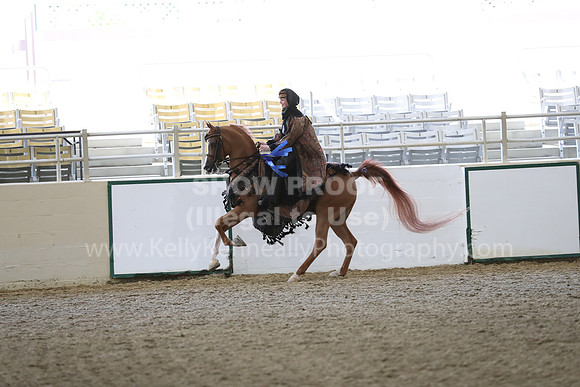 RCAHA19_FriPM_1371