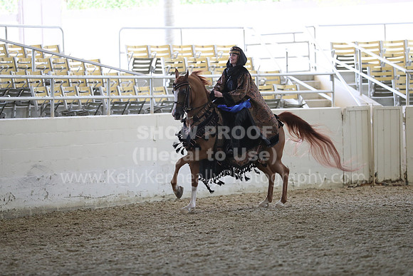 RCAHA19_FriPM_1373