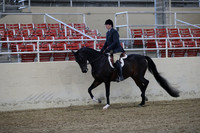 Class 90 HA/AA Hunter Pleasure Junior Horses