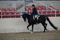 RCAHA19_FriPM_1507