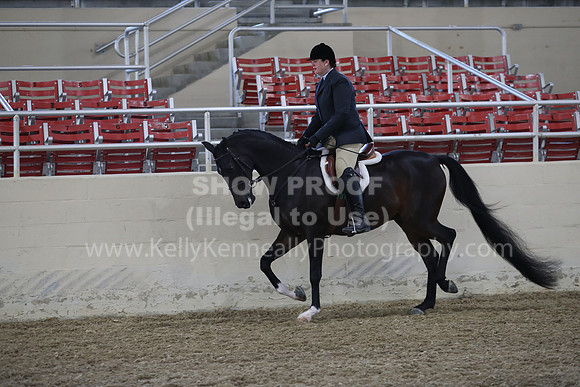 RCAHA19_FriPM_1507