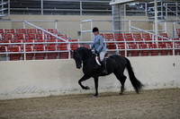 RCAHA19_FriPM_1508