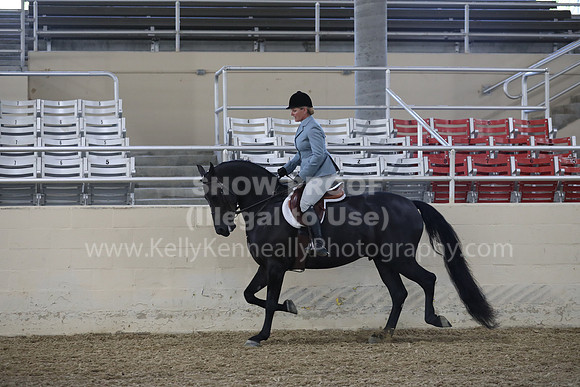 RCAHA19_FriPM_1511