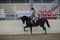 RCAHA19_FriPM_1513