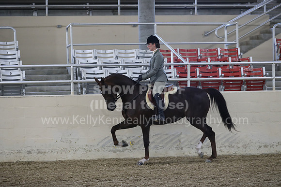 RCAHA19_FriPM_1513