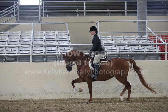 RCAHA19_FriPM_1517