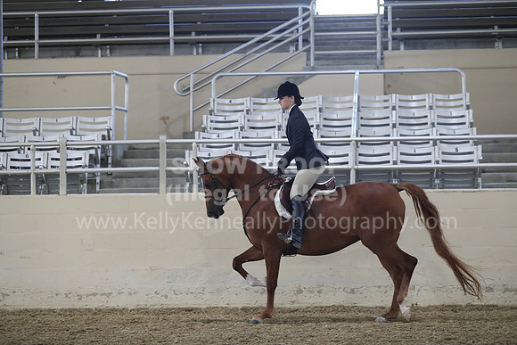 RCAHA19_FriPM_1518