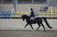RCAHA19_FriPM_1520