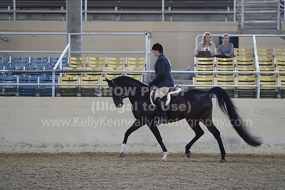 RCAHA19_FriPM_1520