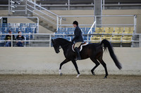 RCAHA19_FriPM_1521
