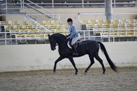 RCAHA19_FriPM_1523