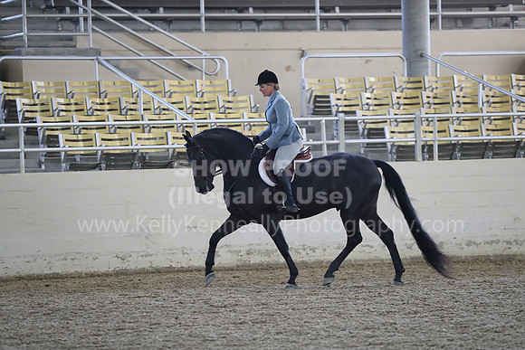 RCAHA19_FriPM_1523