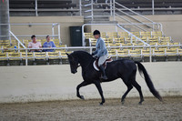 RCAHA19_FriPM_1524