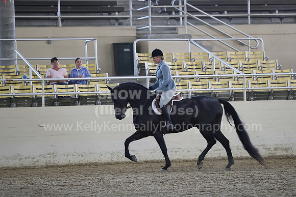 RCAHA19_FriPM_1524
