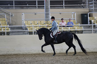 RCAHA19_FriPM_1525