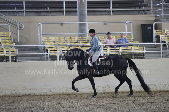 RCAHA19_FriPM_1525