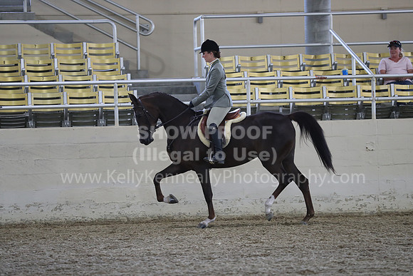 RCAHA19_FriPM_1528