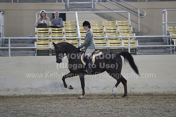 RCAHA19_FriPM_1529