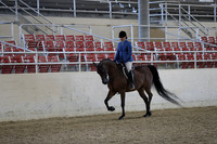 Class 91 Arabian Hunter Pleasure Geldings