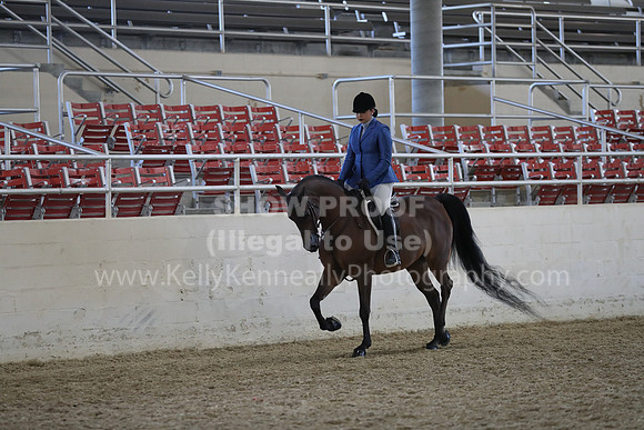 RCAHA19_FriPM_1542