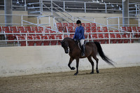 RCAHA19_FriPM_1543