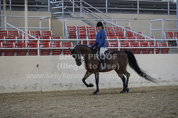RCAHA19_FriPM_1545