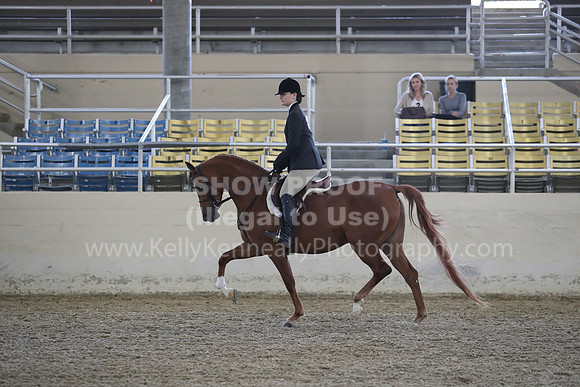 RCAHA19_FriPM_1530