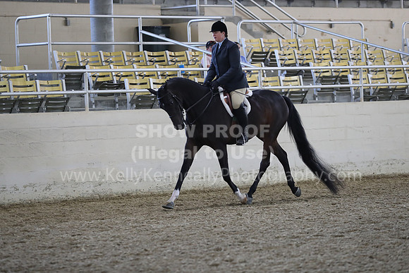 RCAHA19_FriPM_1531