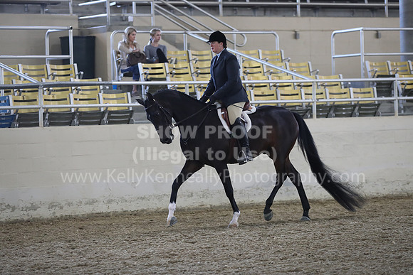 RCAHA19_FriPM_1533