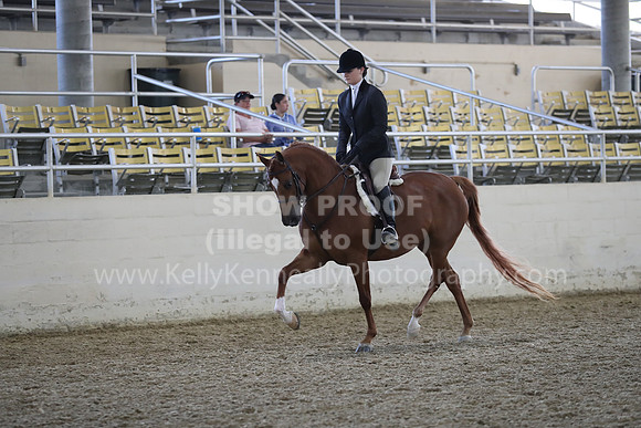RCAHA19_FriPM_1534