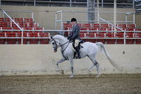 RCAHA19_FriPM_1549