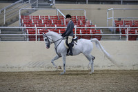 RCAHA19_FriPM_1550