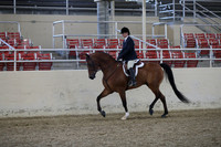 RCAHA19_FriPM_1553