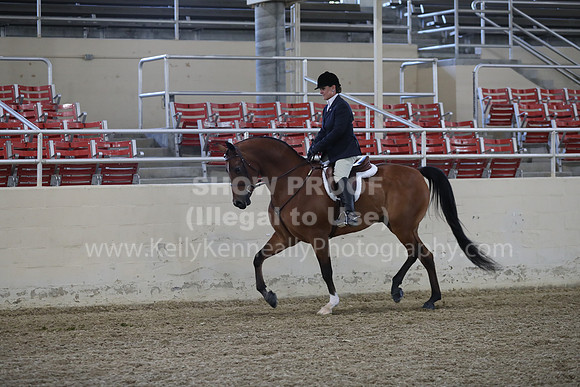 RCAHA19_FriPM_1553