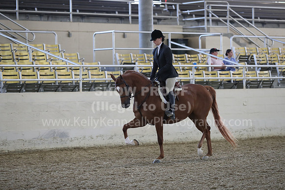 RCAHA19_FriPM_1535