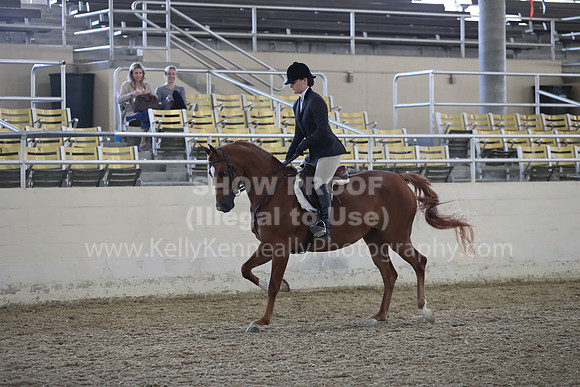 RCAHA19_FriPM_1536