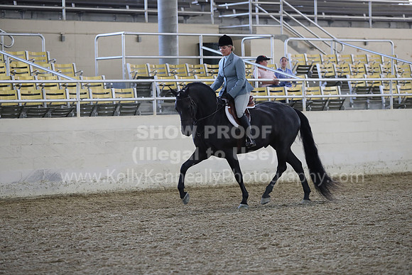 RCAHA19_FriPM_1537