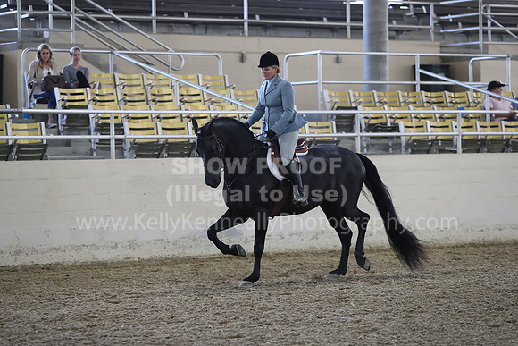 RCAHA19_FriPM_1538