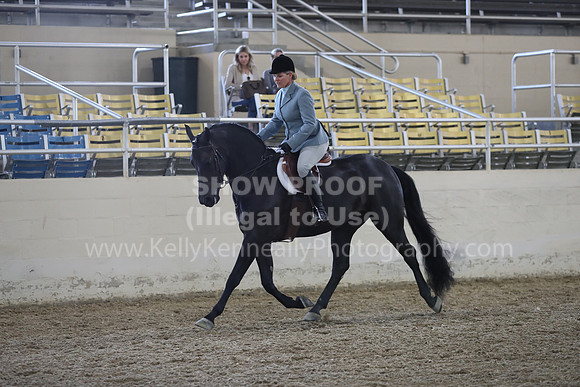 RCAHA19_FriPM_1539