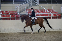 RCAHA19_FriPM_1554