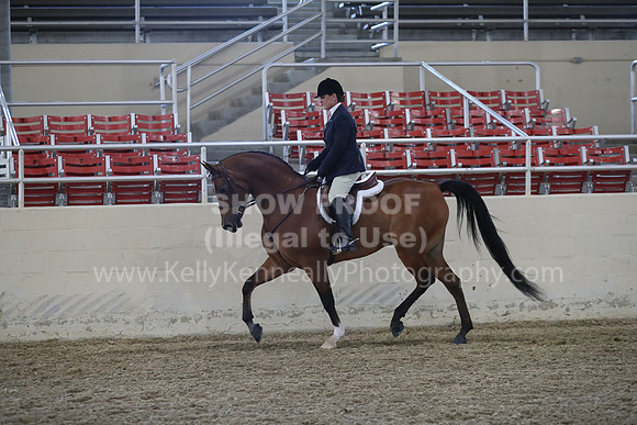 RCAHA19_FriPM_1554