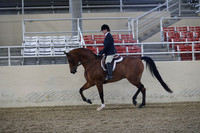 RCAHA19_FriPM_1555