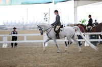 RCAHA19_FriPM_1557