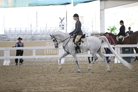 RCAHA19_FriPM_1557