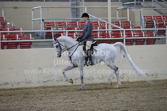 RCAHA19_FriPM_1559