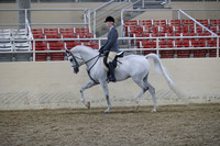 RCAHA19_FriPM_1560